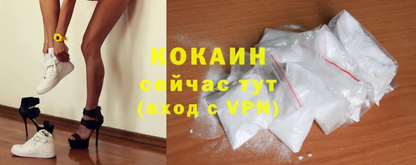 гашик Новозыбков