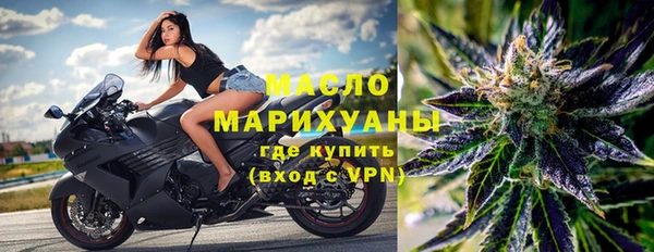 гашик Новозыбков