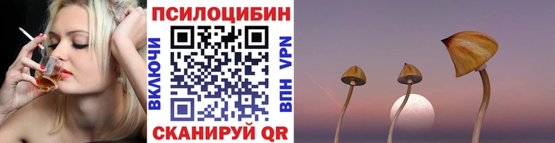 цены наркотик  Мамоново  Галлюциногенные грибы Magic Shrooms 